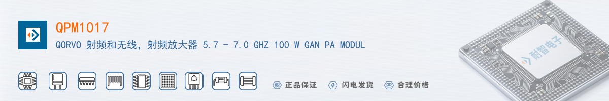 QPM1017������