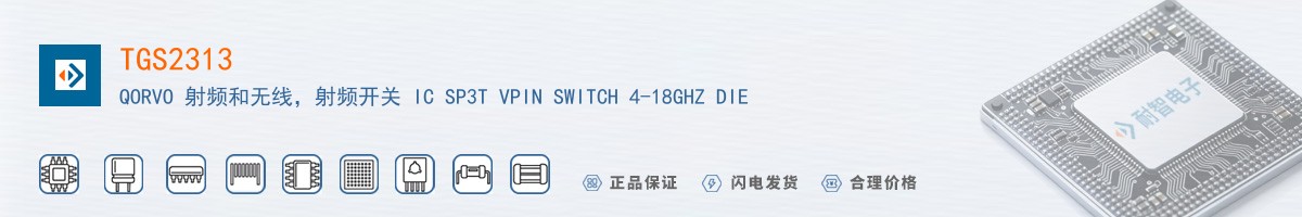 TGS2313������