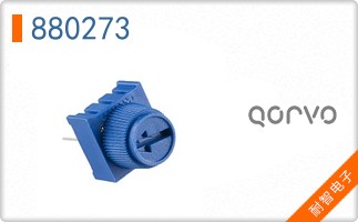 880273