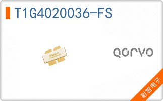 T1G4020036-FS