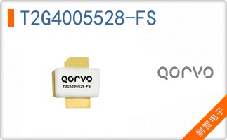 T2G4005528-FS