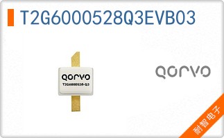 T2G6000528Q3EVB03
