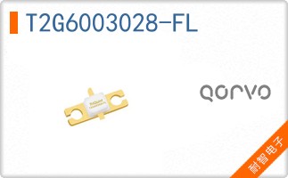 T2G6003028-FL