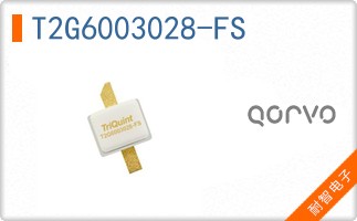 T2G6003028-FS