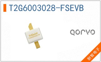 T2G6003028-FSEVB